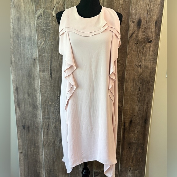 BCBGMaxAzria Dusty Pink Asymmetrical Ruffle Mini Dress Women's Size Medium - Picture 2 of 15